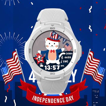 JC-Independence Cat by JCBrotherss