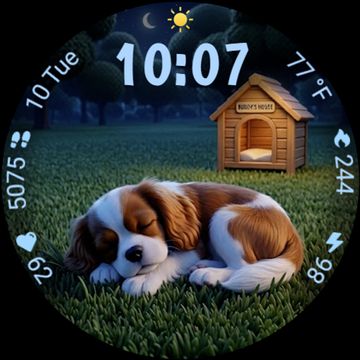 A dogs life Animated by StarWatchfaces