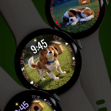 A dogs life Animated by StarWatchfaces