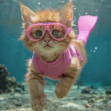 🐈Sub-Purr-Mergible Pink🩷 by Turtle_Angel