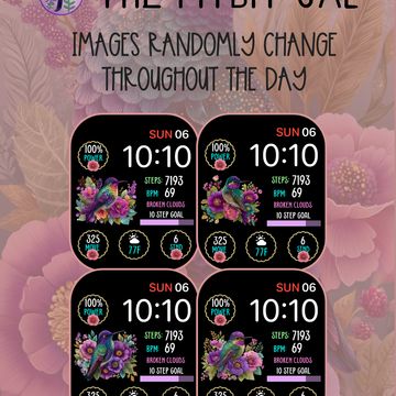 Hummingbird Glitz by The Fitbit Gal™️