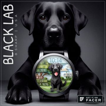 B# | Black Lab ʷᶠᶠ by B Sharp Art