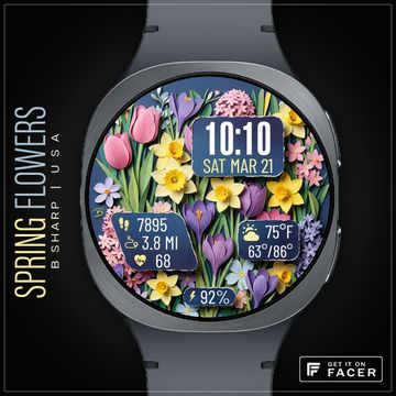 B# | Spring Flowers by B Sharp Art