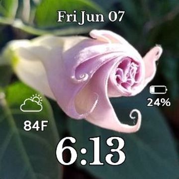 Moon Flower Spiral 3 by MJS Designs