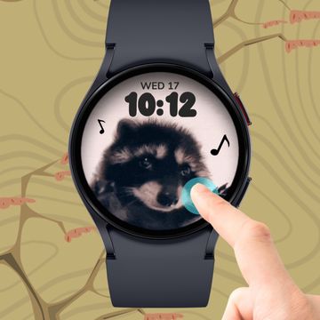 Pedro the Raccoon by Facer Studios