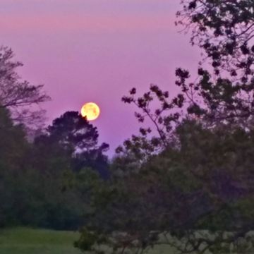 Moon Setting 01 by MJS Designs