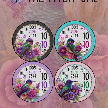 Hummingbird Glitz by The Fitbit Gal™️