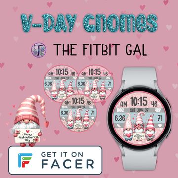 🎵V-Day Gnomes💘 by The Fitbit Gal™️