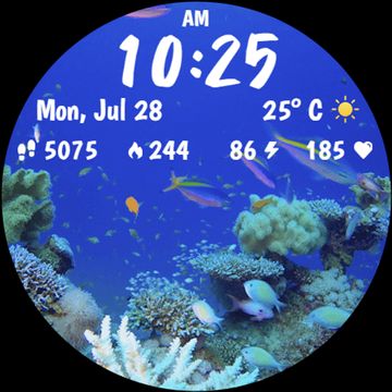 Live Aquarium Animated WF by StarWatchfaces