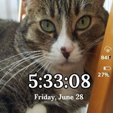 AC Kittie 01 by MJS Designs