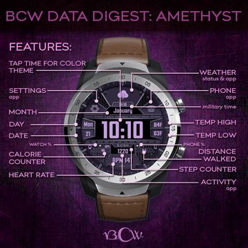 BCW Data Digest Amethyst by Capo