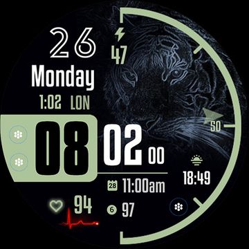 ML2U 196 Roar by ML2U