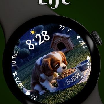 A dogs life Animated by StarWatchfaces