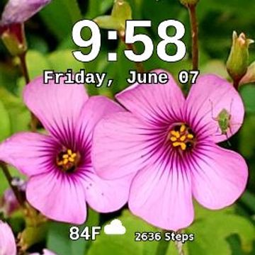 Pink Flower 2 by MJS Designs