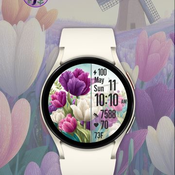 🌷Endless Tulips🌷 by The Fitbit Gal™️