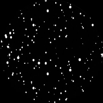 Snow Daze by McLovin