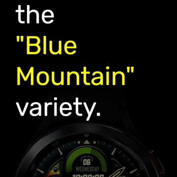 New COMMANDER by BERGEN™