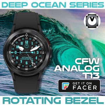 CFW ANALOG T13 by CFW Projects