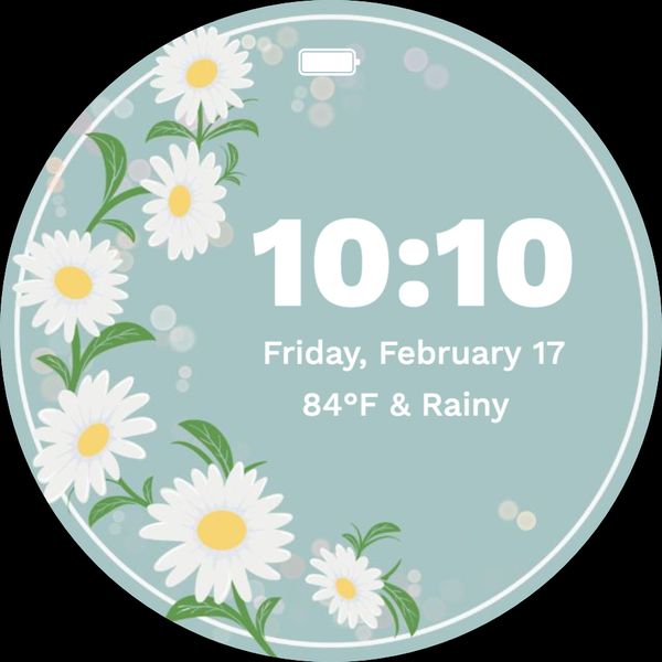 Spring Daisy