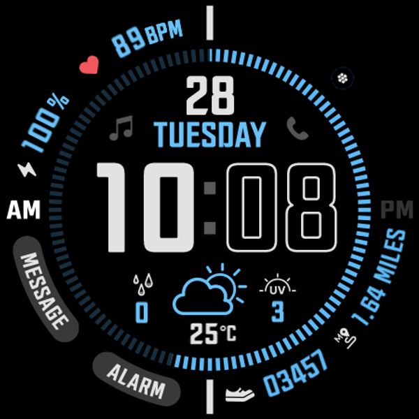 SamWatch Digital XI 2