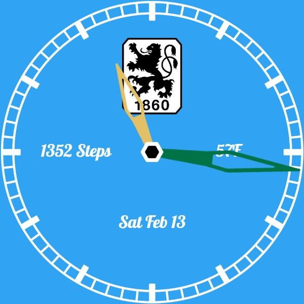 TSV 1860 Muenchen