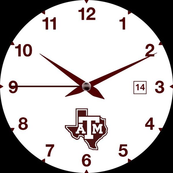 TAMU Analog 01