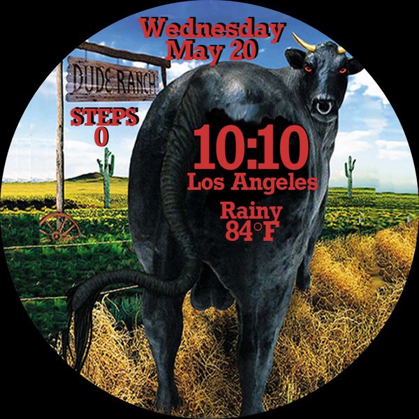 Blink-182 Dude Ranch
