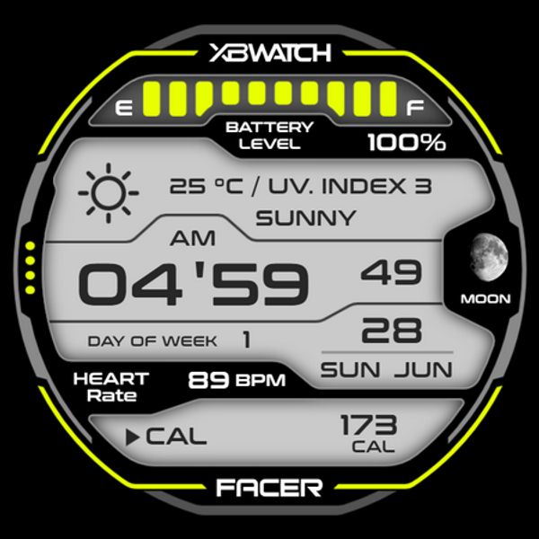 XBWatch DG20 X2