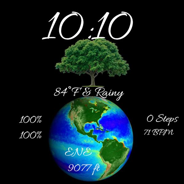 Earth