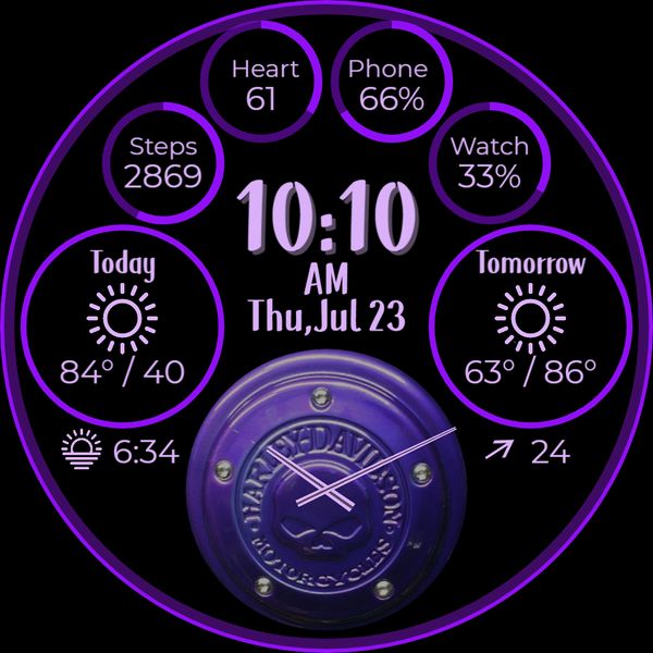 Purple Harley 2