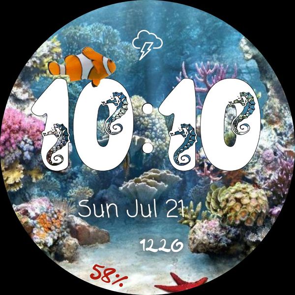 Coral reef with Nemo