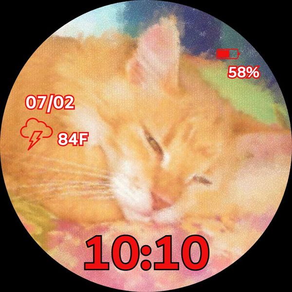 Sleeping Cat 01