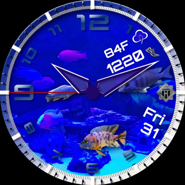 Blue and White Fish Tank