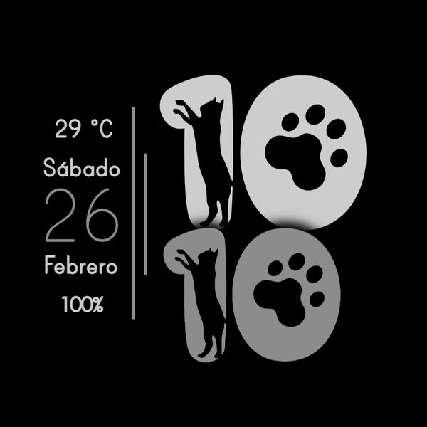 gato watch betoze
