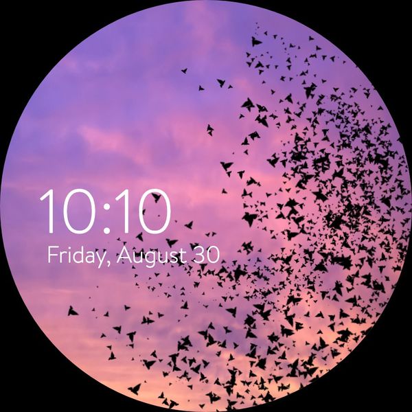Starling