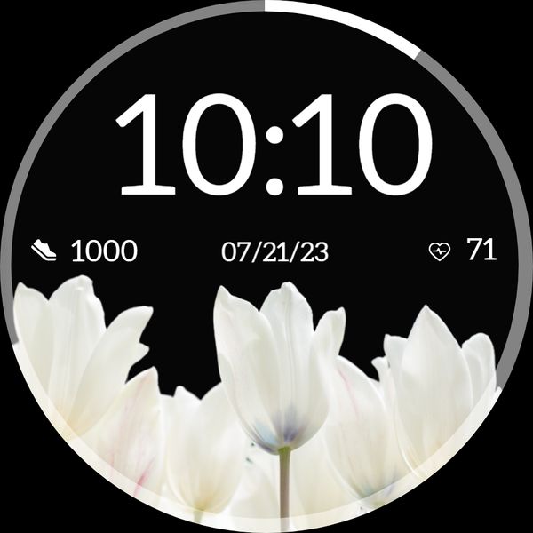 White tulip