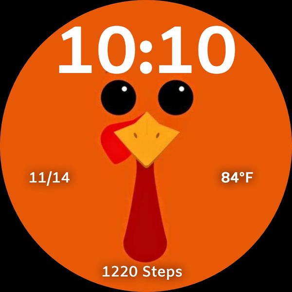 Turkey Time V2