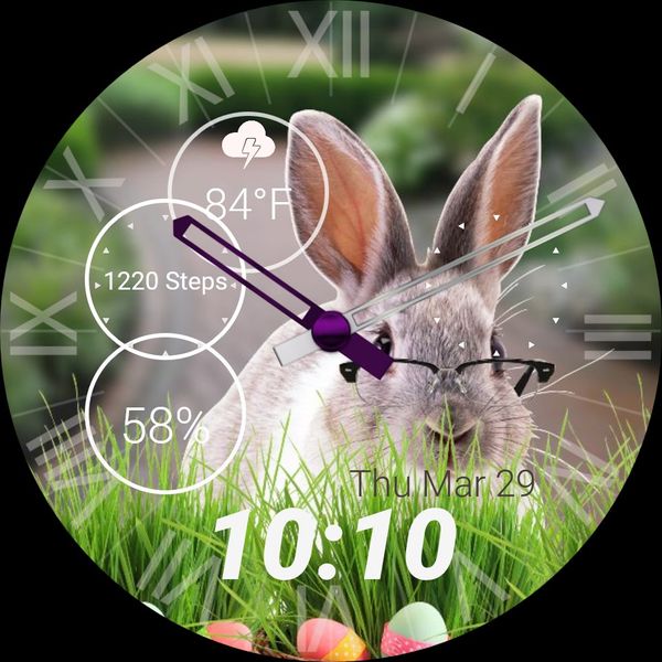 Bunny Business AMOLED