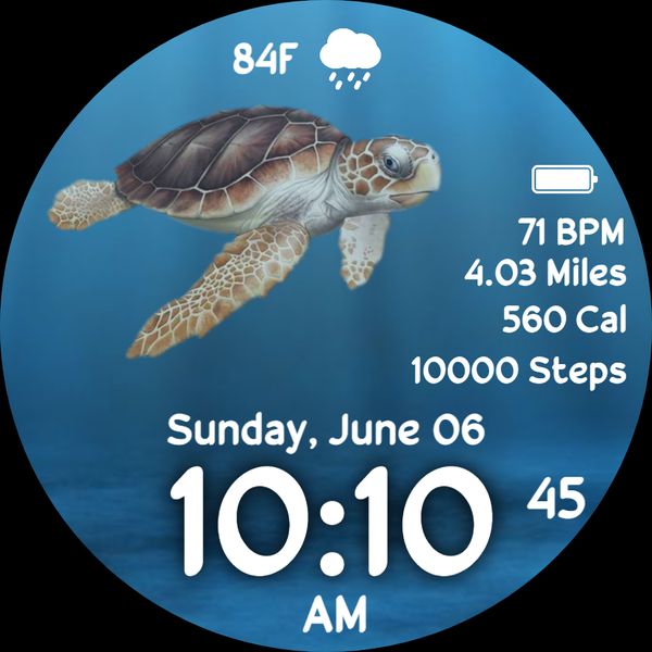 Sea Turtle