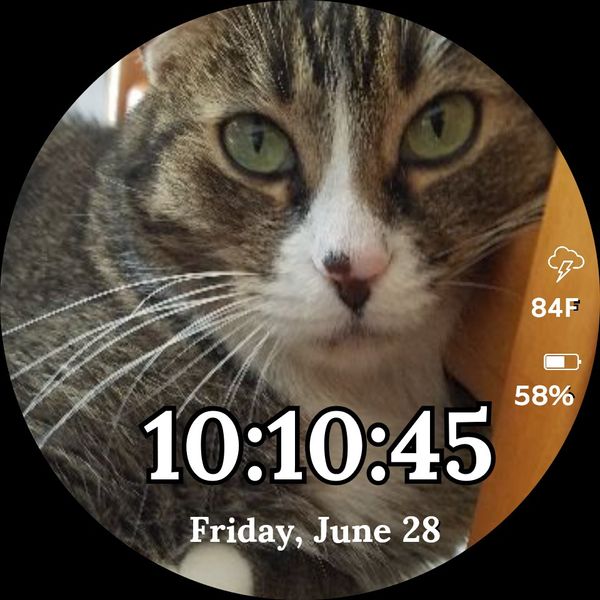 AC Kittie 01