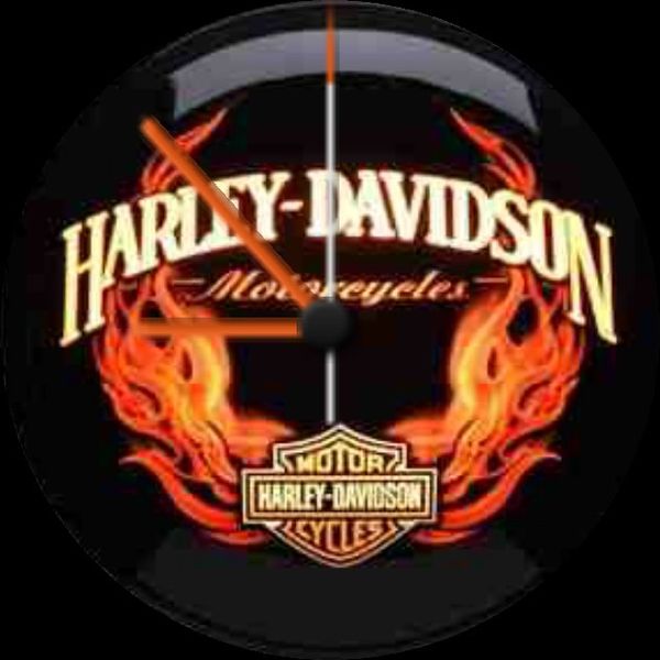 Harley-Davidson2 by Shaggy