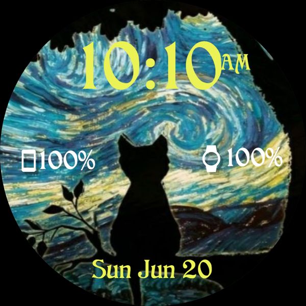 Simple starry night cat