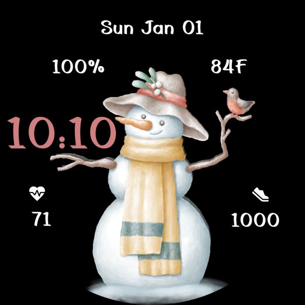 Snow Friend
