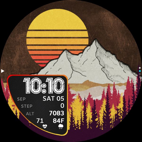 Switchback - V303