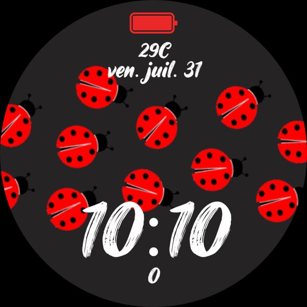 Lady bug beetle ladybug