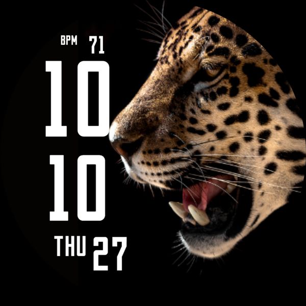 Leopard Face