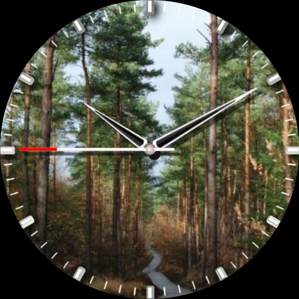 Scenic Watch Faces