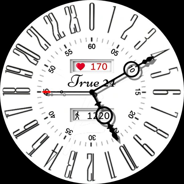 True 24 Hour Analog 2