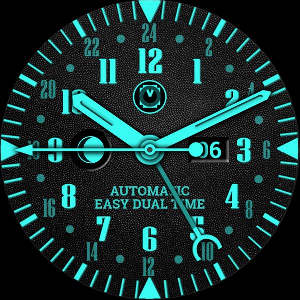 CFW ANALOG24 DT