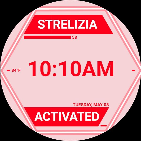 Strelizia Activated